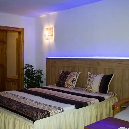 Hadjipopov House Gæstehus Bansko