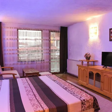 Hadjipopov House Gæstehus Bansko
